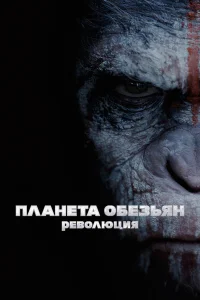  Планета обезьян: Революция  - главный постер
